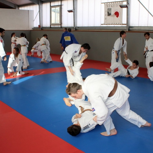 tatami_lucha