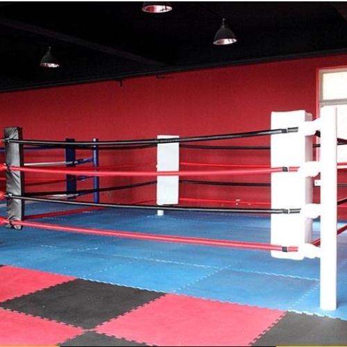 tatami_taewondo